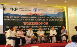 Hội thảo: Thúc đẩy phát triển rừng trồng sản xuất quy mô hộ gia đình theo hướng quản lý rừng bền vững và có lợi nhuận ở Việt Nam